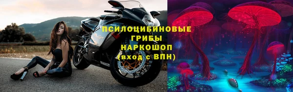 spice Абаза