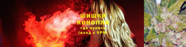 spice Абаза